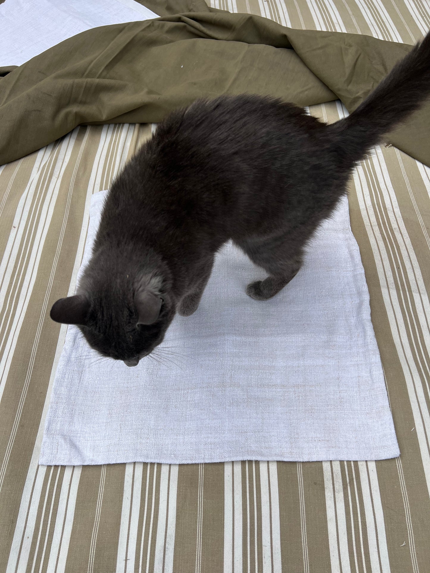 Pièce rapportée n°125